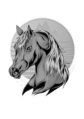 horse logo template vector