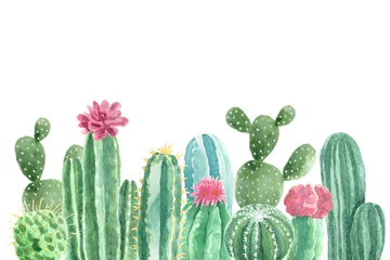 Foto op Canvas Aquarel Cactussen en vetplanten © aves