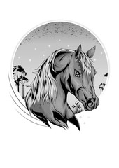 horse illustration