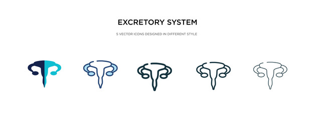 excretory system icon in different style vector illustration. two colored and black excretory system vector icons designed in filled, outline, line and stroke style can be used for web, mobile, ui