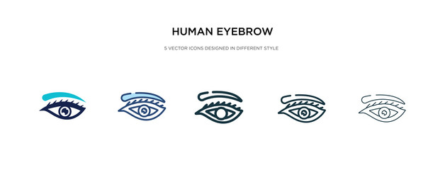 human eyebrow icon in different style vector illustration. two colored and black human eyebrow vector icons designed in filled, outline, line and stroke style can be used for web, mobile, ui