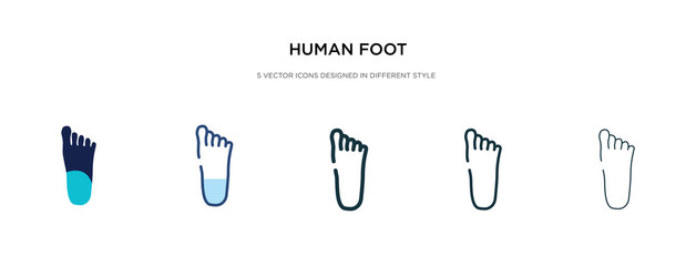 human foot icon in different style vector illustration. two colored and black human foot vector icons designed in filled, outline, line and stroke style can be used for web, mobile, ui