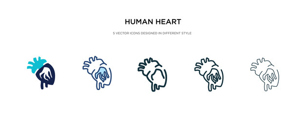human heart icon in different style vector illustration. two colored and black human heart vector icons designed in filled, outline, line and stroke style can be used for web, mobile, ui
