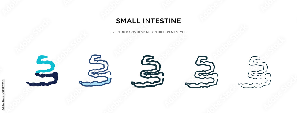 Poster small intestine icon in different style vector illustration. two colored and black small intestine v