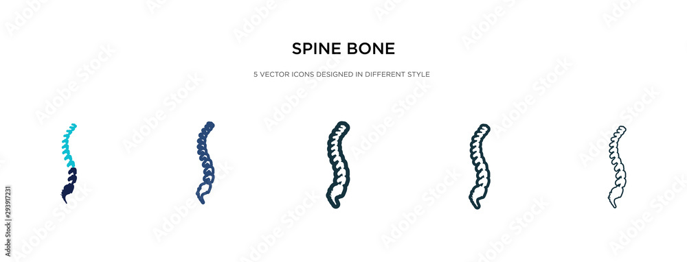 Poster spine bone icon in different style vector illustration. two colored and black spine bone vector icon
