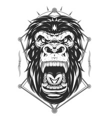 gorilla. king kong, apes