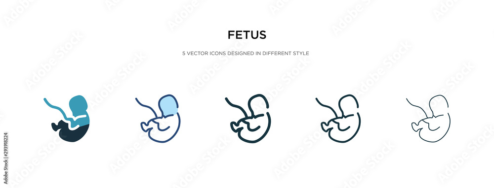 Poster fetus icon in different style vector illustration. two colored and black fetus vector icons designed