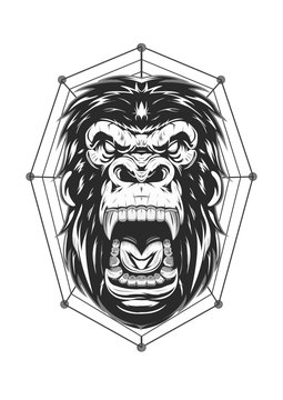 gorilla. king kong, apes