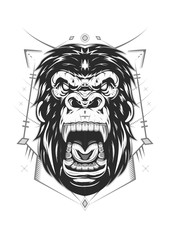 Line art Face of gorilla isolated on white background.