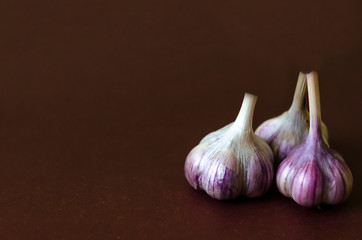 balls of garlic  on dark brown background. Fresh gralic cloves. Autumn harvest, an ingredient for healthy cooking. spicy spice, Indian, Georgian, national cuisine. copy space