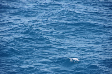 Naklejka premium Close full frame view of the wavy water surface of blue lake Tahoe with a little bubble wave in front