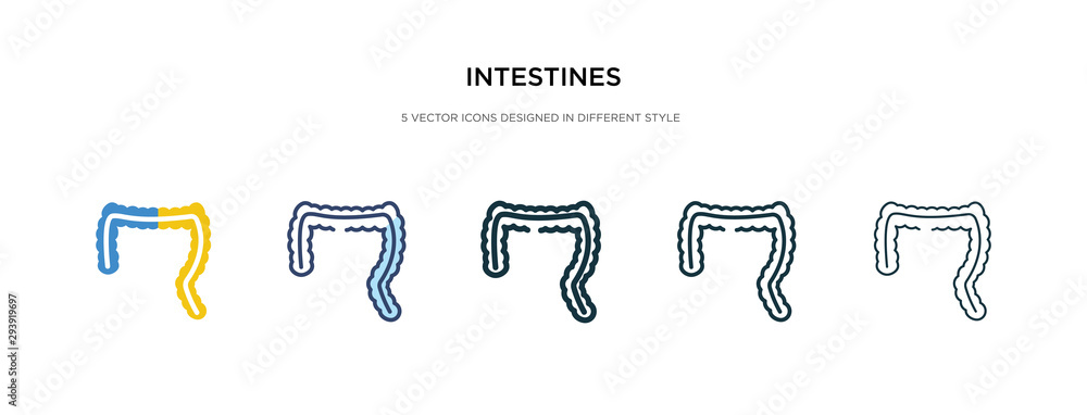 Poster intestines icon in different style vector illustration. two colored and black intestines vector icon