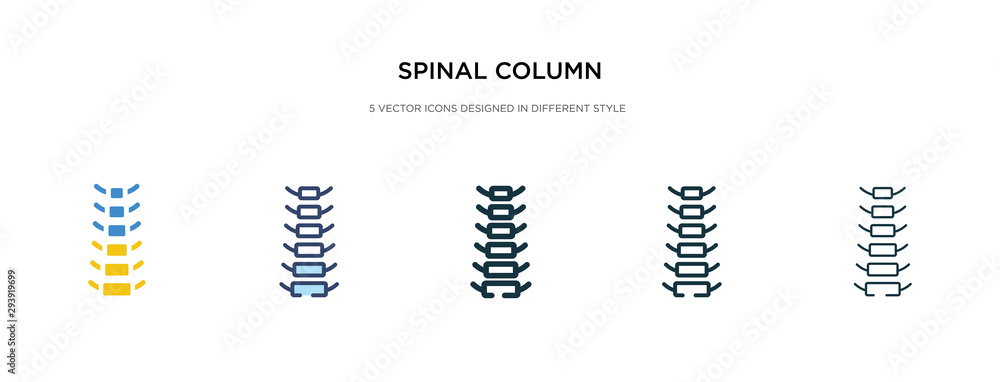 Poster spinal column icon in different style vector illustration. two colored and black spinal column vecto