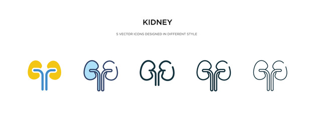 kidney icon in different style vector illustration. two colored and black kidney vector icons designed in filled, outline, line and stroke style can be used for web, mobile, ui