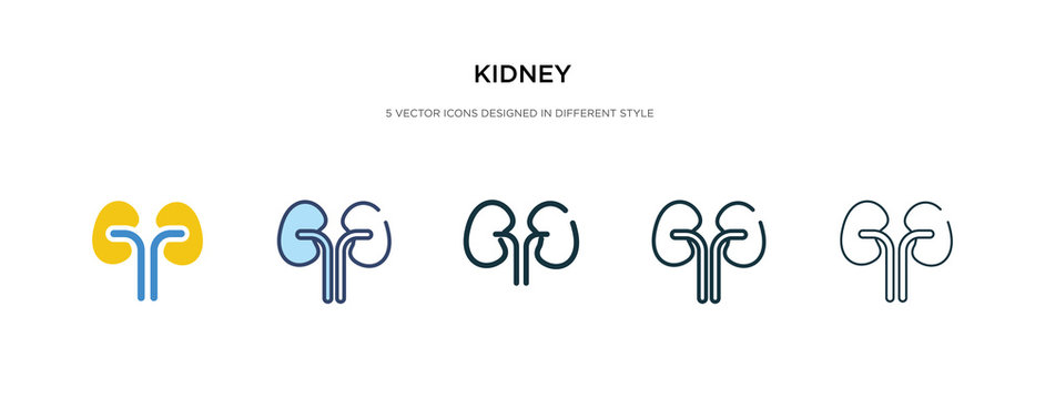 kidney icon in different style vector illustration. two colored and black kidney vector icons designed in filled, outline, line and stroke style can be used for web, mobile, ui