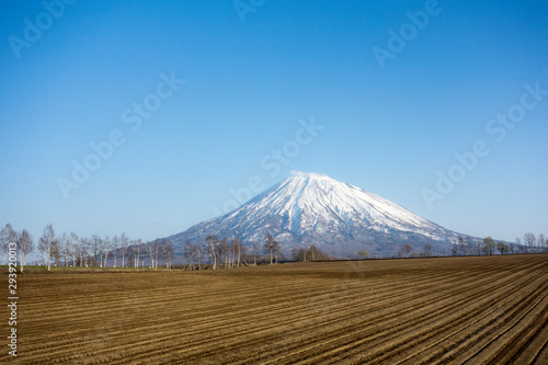 羊蹄山 1 Wall Mural Wallpaper Murals Wallsheaven Goyo Man 羊蹄山 1 Wall Mural Wallpaper Murals Wallsheaven Goyo Man