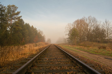Autumn rail road. Railways. Yellow, orange landscape.