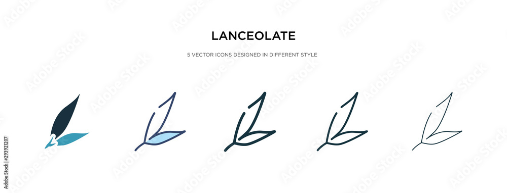 Poster lanceolate icon in different style vector illustration. two colored and black lanceolate vector icon