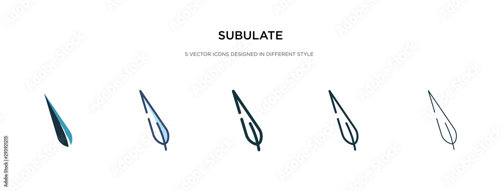 Poster subulate icon in different style vector illustration. two colored and black subulate vector icons de