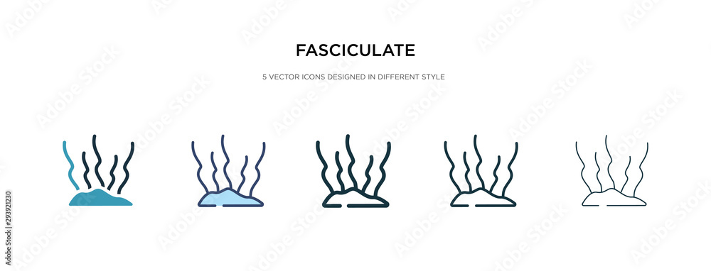 Poster fasciculate icon in different style vector illustration. two colored and black fasciculate vector ic