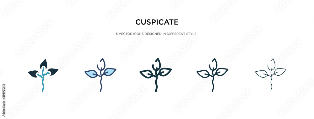Poster cuspicate icon in different style vector illustration. two colored and black cuspicate vector icons 