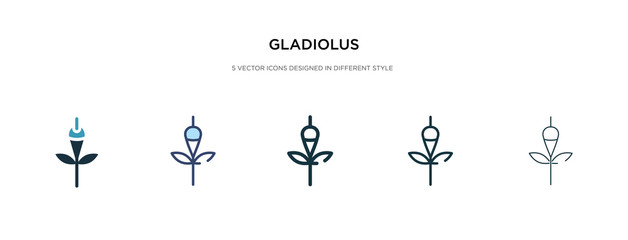 gladiolus icon in different style vector illustration. two colored and black gladiolus vector icons designed in filled, outline, line and stroke style can be used for web, mobile, ui - obrazy, fototapety, plakaty