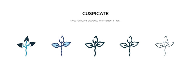 cuspicate icon in different style vector illustration. two colored and black cuspicate vector icons designed in filled, outline, line and stroke style can be used for web, mobile, ui