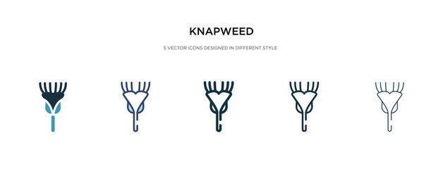 knapweed icon in different style vector illustration. two colored and black knapweed vector icons designed in filled, outline, line and stroke style can be used for web, mobile, ui