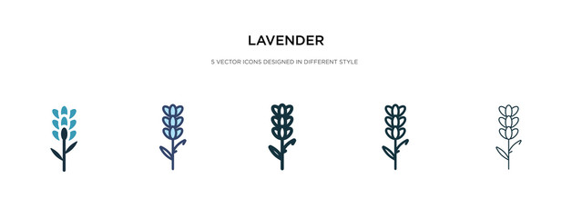 lavender icon in different style vector illustration. two colored and black lavender vector icons designed in filled, outline, line and stroke style can be used for web, mobile, ui