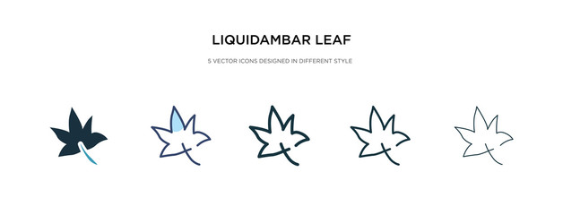 liquidambar leaf icon in different style vector illustration. two colored and black liquidambar leaf vector icons designed in filled, outline, line and stroke style can be used for web, mobile, ui