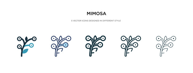 mimosa icon in different style vector illustration. two colored and black mimosa vector icons designed in filled, outline, line and stroke style can be used for web, mobile, ui