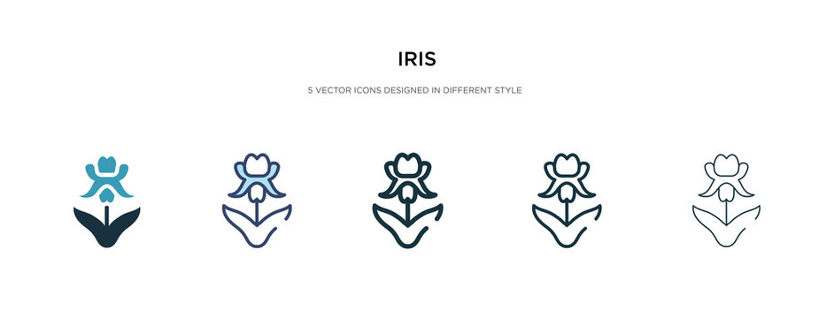 iris icon in different style vector illustration. two colored and black iris vector icons designed in filled, outline, line and stroke style can be used for web, mobile, ui