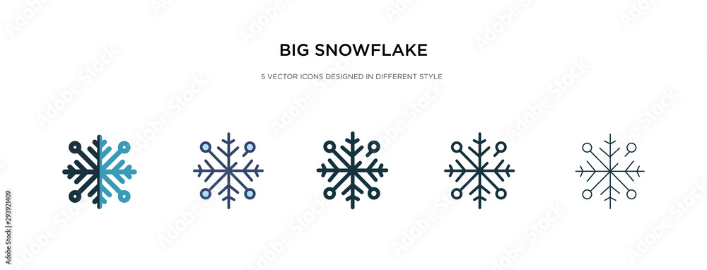 Poster big snowflake icon in different style vector illustration. two colored and black big snowflake vecto