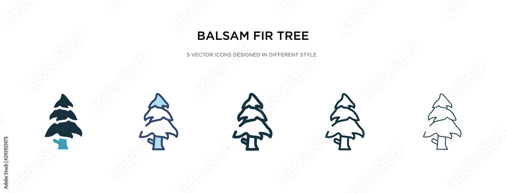 Poster balsam fir tree icon in different style vector illustration. two colored and black balsam fir tree v