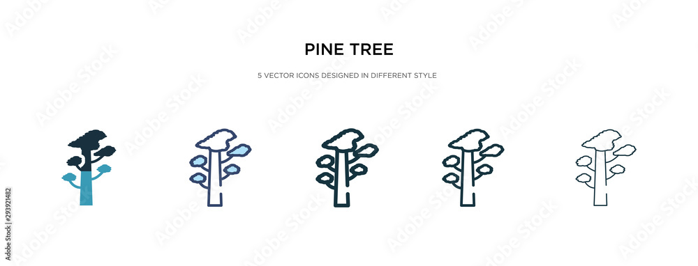 Poster pine tree icon in different style vector illustration. two colored and black pine tree vector icons 
