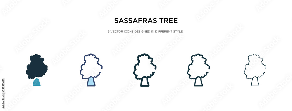 Poster sassafras tree icon in different style vector illustration. two colored and black sassafras tree vec