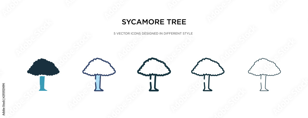 Aufkleber sycamore tree icon in different style vector illustration. two colored and black sycamore tree vecto