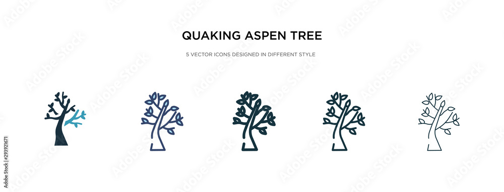 Poster quaking aspen tree icon in different style vector illustration. two colored and black quaking aspen 