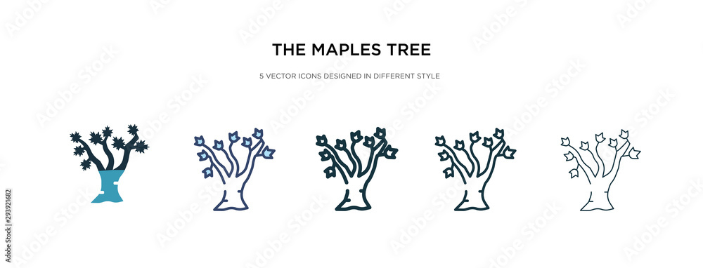 Poster the maples tree icon in different style vector illustration. two colored and black the maples tree v