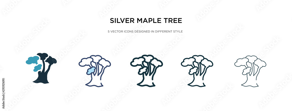 Poster silver maple tree icon in different style vector illustration. two colored and black silver maple tr