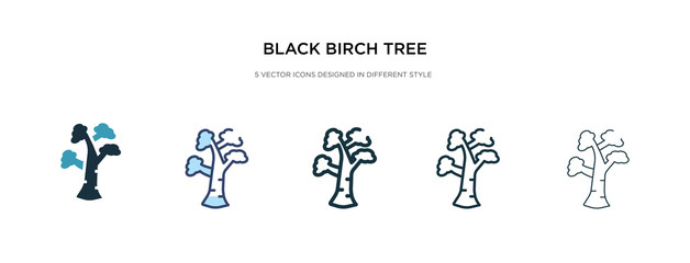 black birch tree icon in different style vector illustration. two colored and black black birch tree vector icons designed in filled, outline, line and stroke style can be used for web, mobile, ui