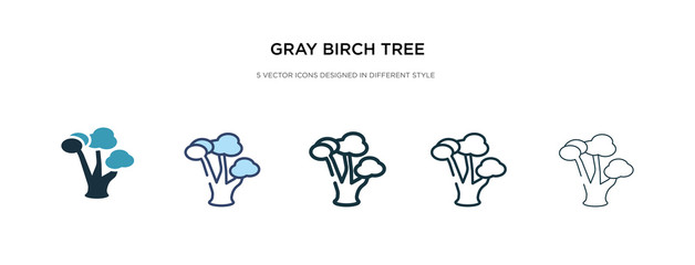 gray birch tree icon in different style vector illustration. two colored and black gray birch tree vector icons designed in filled, outline, line and stroke style can be used for web, mobile, ui