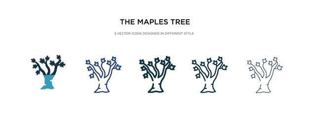 the maples tree icon in different style vector illustration. two colored and black the maples tree vector icons designed in filled, outline, line and stroke style can be used for web, mobile, ui