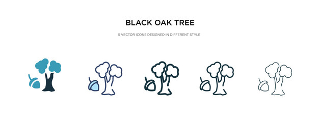 black oak tree icon in different style vector illustration. two colored and black black oak tree vector icons designed in filled, outline, line and stroke style can be used for web, mobile, ui