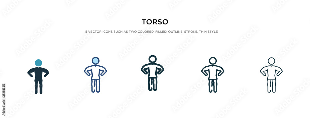 Poster torso icon in different style vector illustration. two colored and black torso vector icons designed