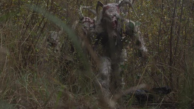 krampus austrian tradition coming out of bushes