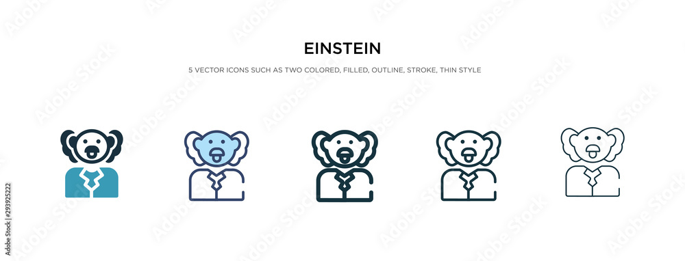 Poster einstein icon in different style vector illustration. two colored and black einstein vector icons de