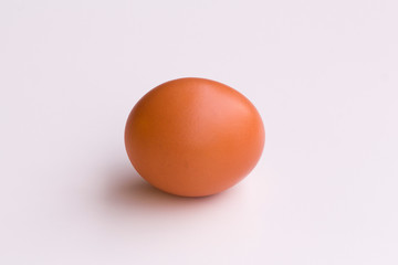 Single fresh egg centered and isolated on a white background.