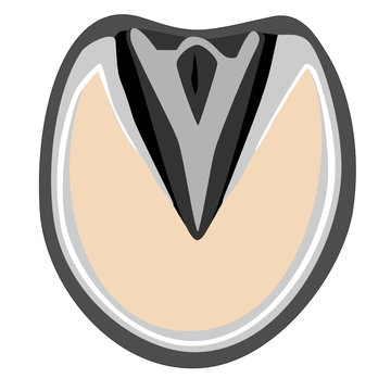 horse hoof anatomy diagram clip art preview