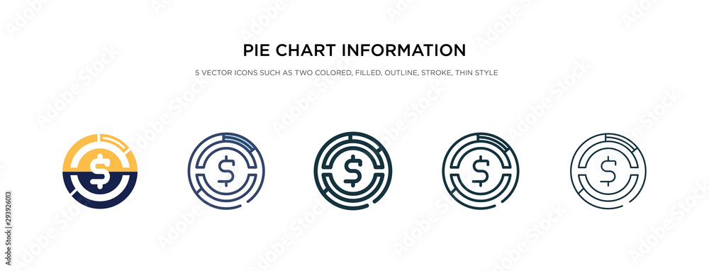 Poster pie chart information on money icon in different style vector illustration. two colored and black pi